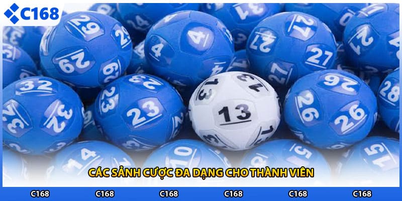 Các sảnh cược đa dạng cho thành viên
