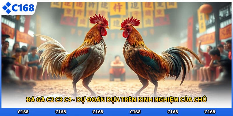 Đá Gà C2 C3 C4 - Dự Đoán Dựa Trên Kinh Nghiệm Của Chủ